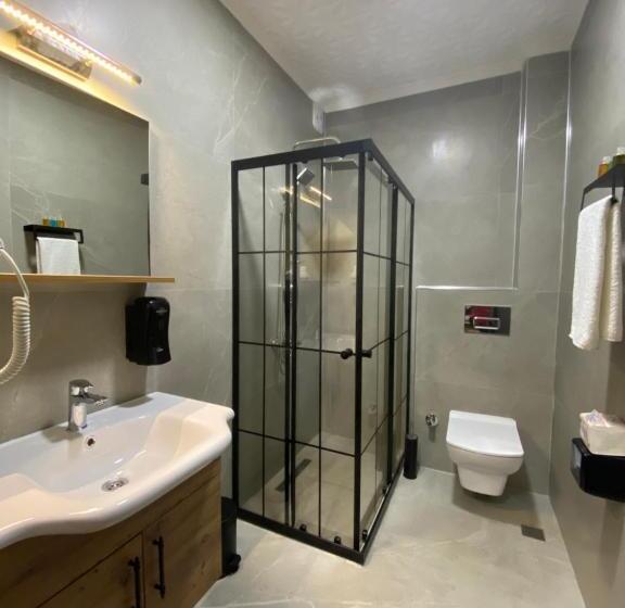 חדר סטנדרט, Ni̇ka