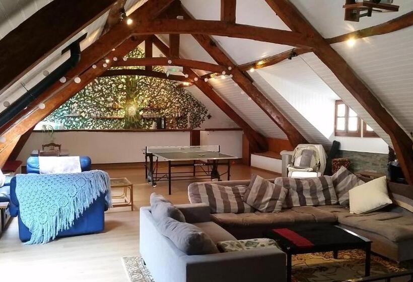 3间卧室的房子, Solfé Backpacker