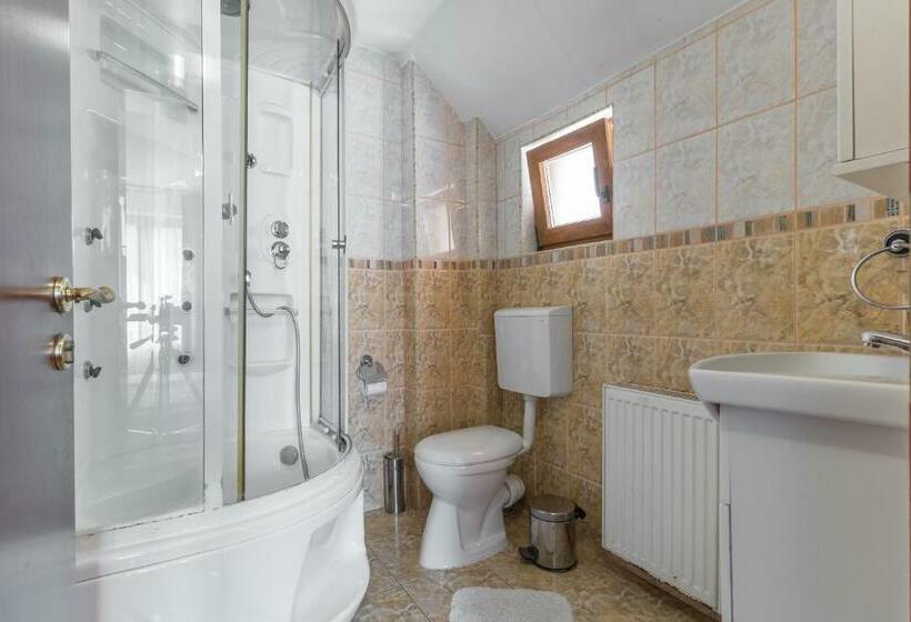 חדר סטנדרט, Pensiunea Laura