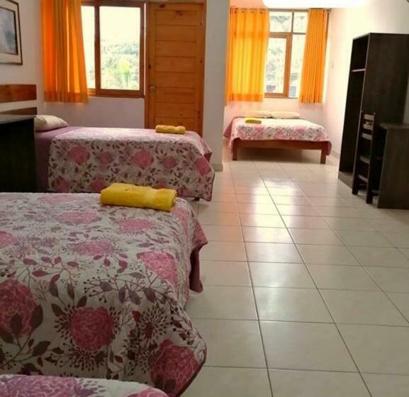 غرفة قياسية رباعية, Cocos Inn