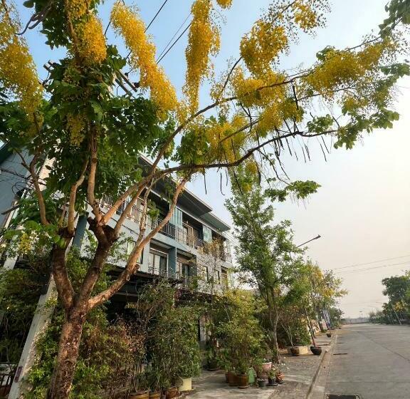 デラックスルーム, V Tharm