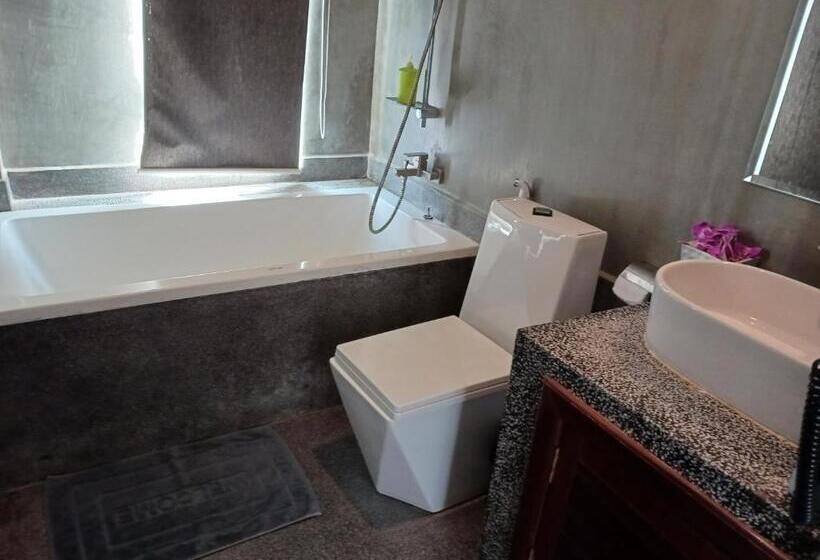 اتاق استاندارد, Andy S Place