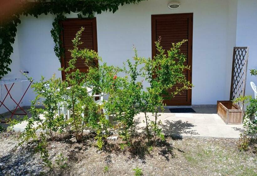 חדר סטנדרט לארבעה, Barrumbas