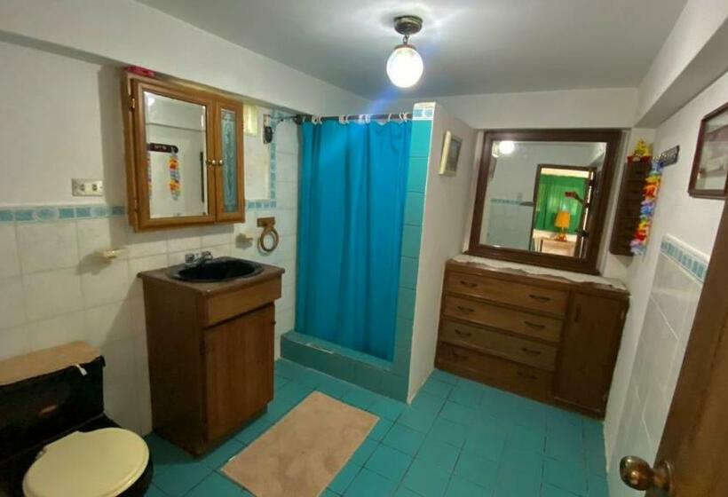 غرفة قياسية, La Casa Del Arbol