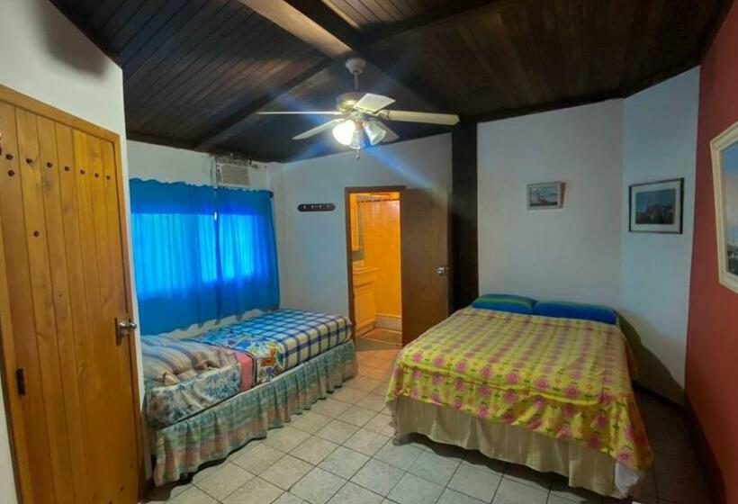 Номер Стандарт, La Casa Del Arbol