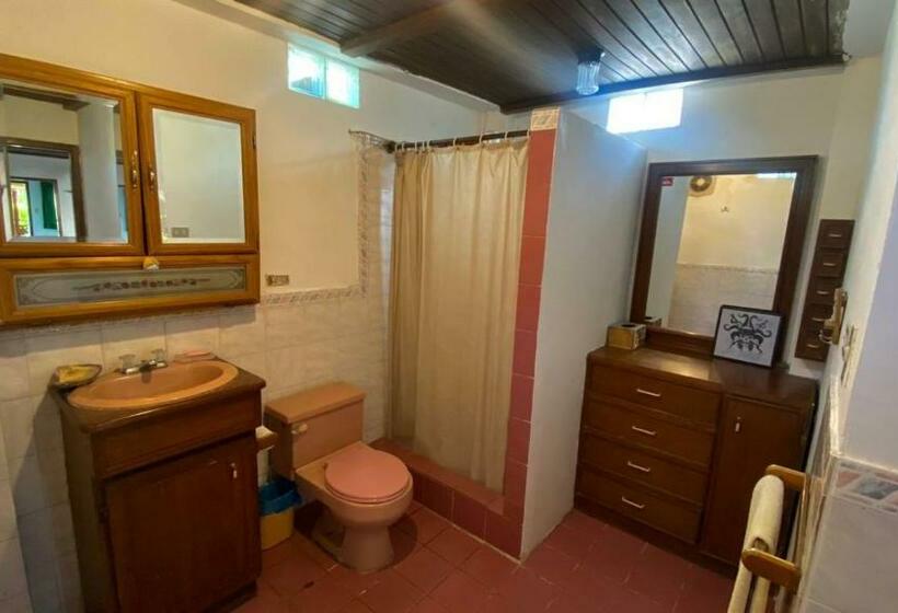 غرفة قياسية, La Casa Del Arbol