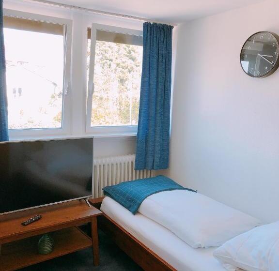 スタンダードシングルルーム, Gästehaus Ehebachhof Hotel Garni
