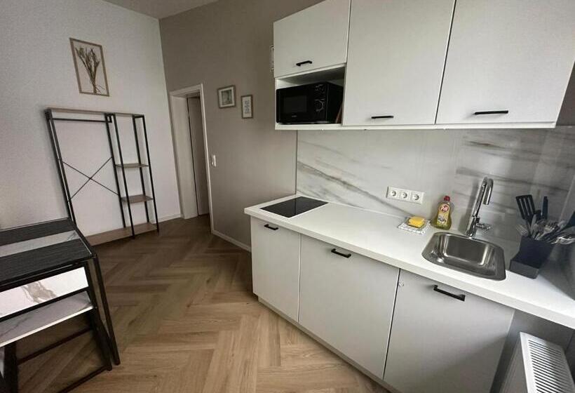 דירת חדר דלוקס, Aparthotel Lenau