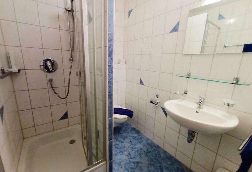 اتاق استاندارد یک نفره, Bodensee Gästehaus Tettnang Albergo