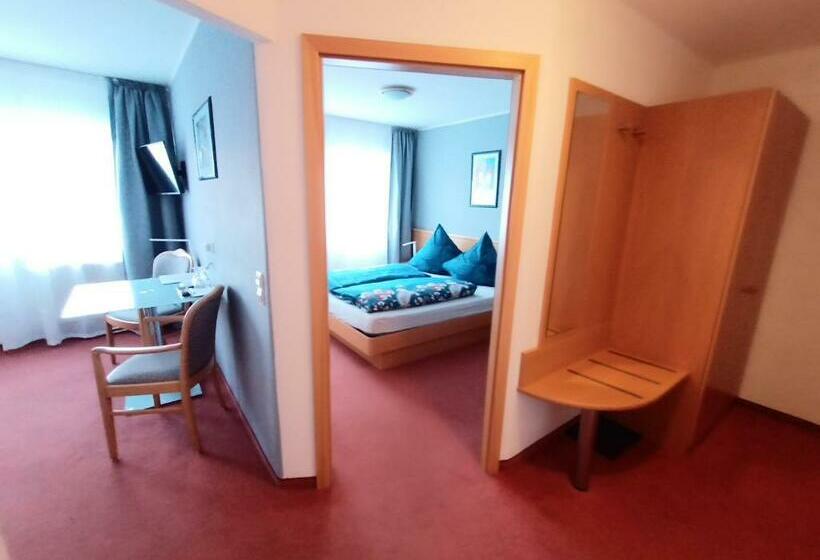 آپارتمان 1 خوابه, Bodensee Gästehaus Tettnang Albergo