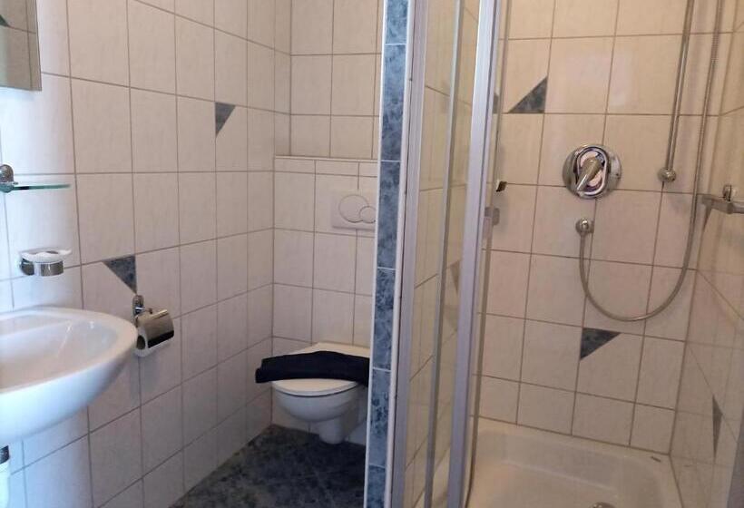 اتاق استاندارد, Bodensee Gästehaus Tettnang Albergo