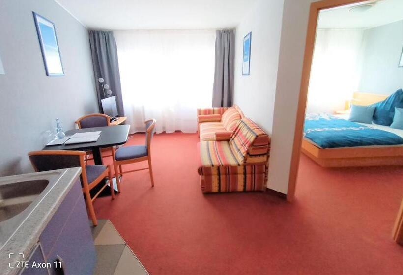 آپارتمان 1 خوابه, Bodensee Gästehaus Tettnang Albergo