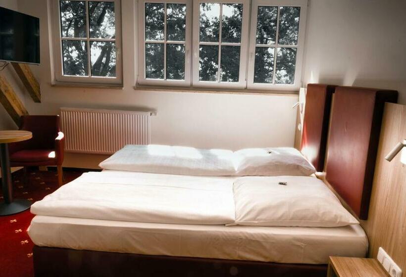 Номер Стандарт, Cavallestro Classic