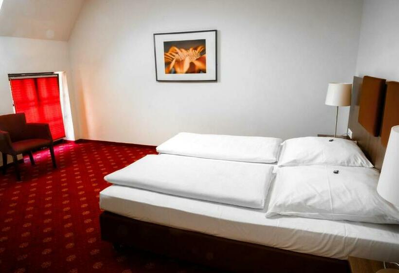 Номер Стандарт, Cavallestro Classic