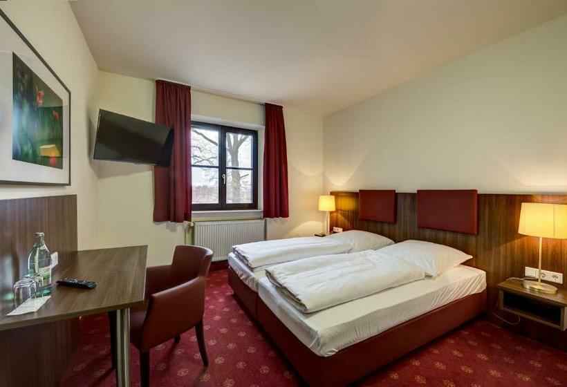 Номер Стандарт, Cavallestro Classic