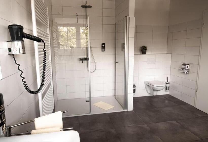 Номер Стандарт, Cavallestro Classic