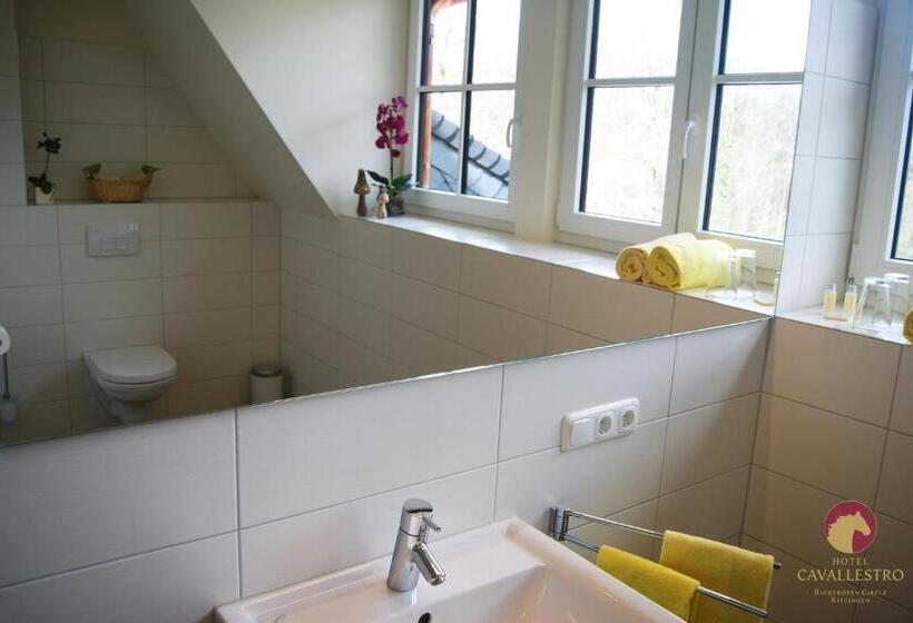 Номер Стандарт, Cavallestro Classic