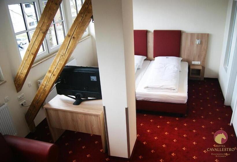 Номер Стандарт, Cavallestro Classic