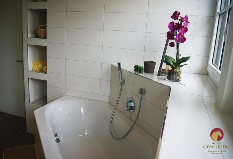 Номер Стандарт, Cavallestro Classic