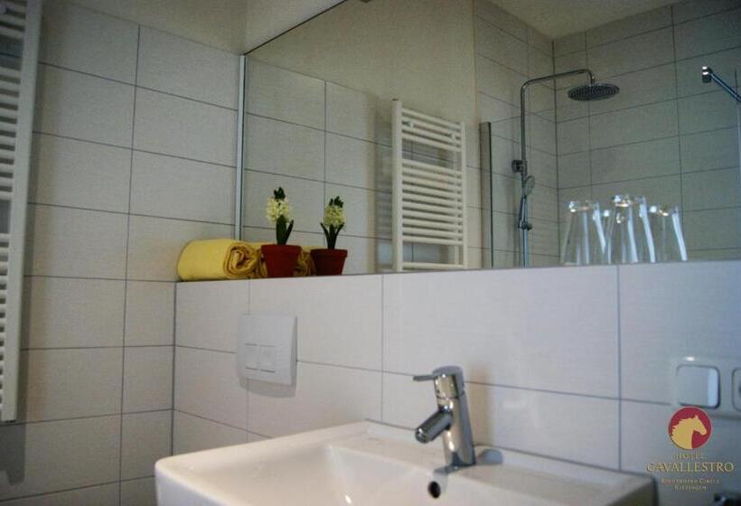 Номер Стандарт Индивидуальный, Cavallestro Classic