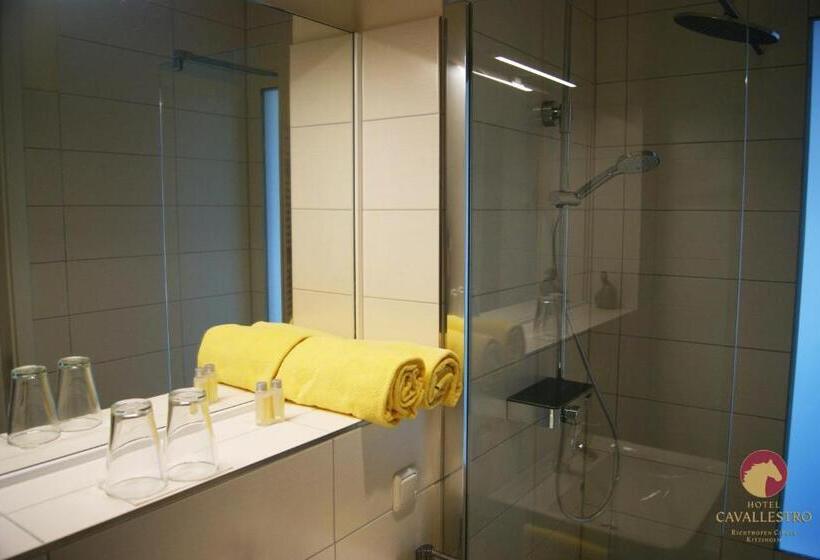 Номер Стандарт Индивидуальный, Cavallestro Classic