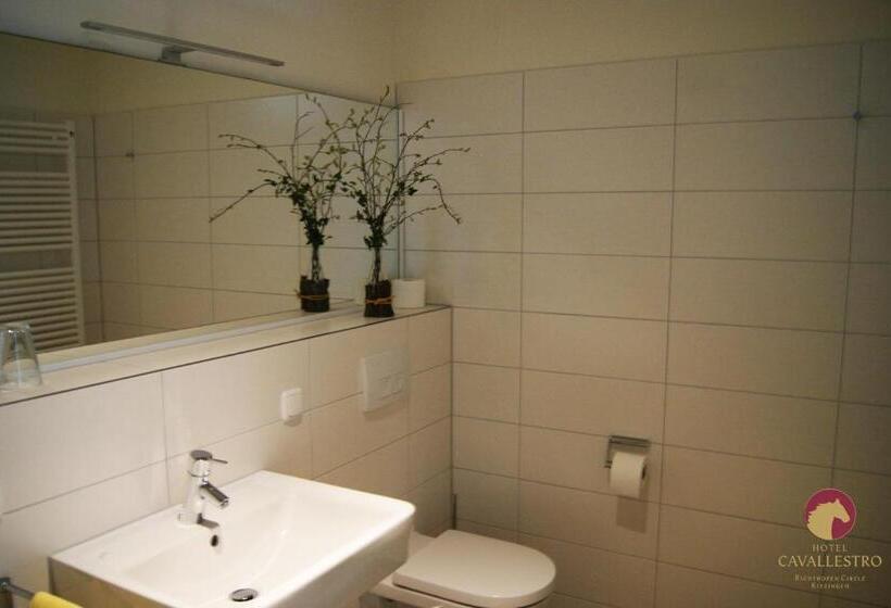 Номер Стандарт, Cavallestro Classic