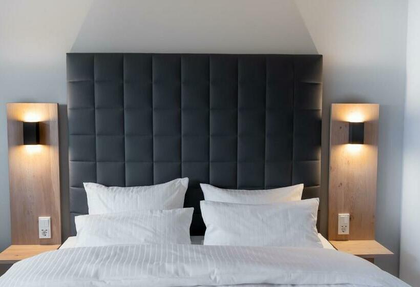 带大床的高级房间, Circle Inn