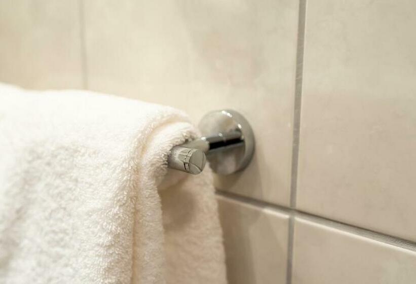 带大床的高级房间, Circle Inn