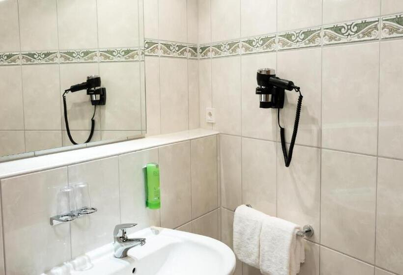 جناح ديلوكس سرير كينج, Circle Inn