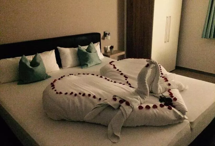 Quarto standard, Claro Garni
