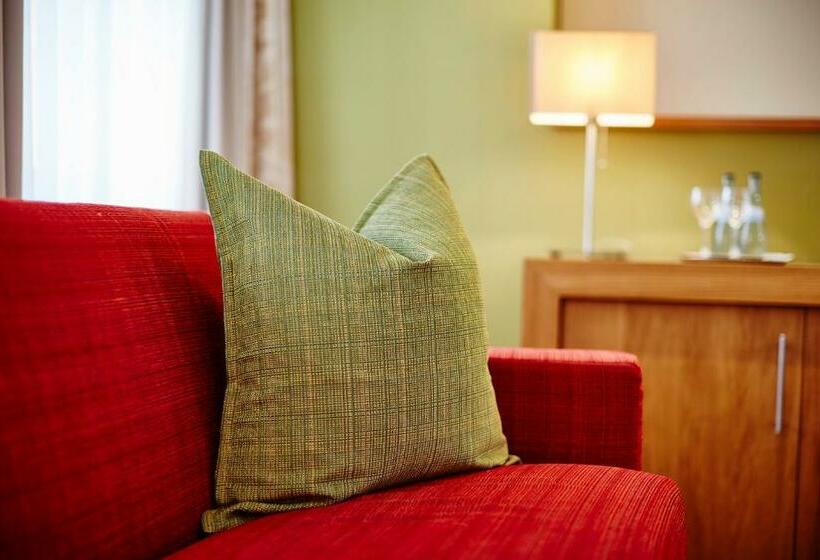 Номер Superior Одноместный, Falken