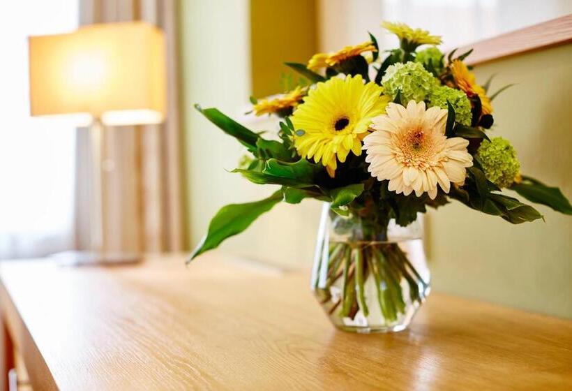 Номер Стандарт Индивидуальный, Falken