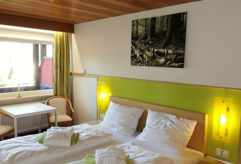 Номер Basic, Landhotel Grünwies Bonsai Wellness Garni