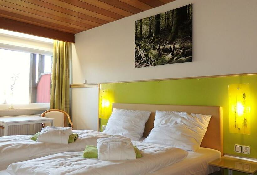 Номер Basic, Landhotel Grünwies Bonsai Wellness Garni