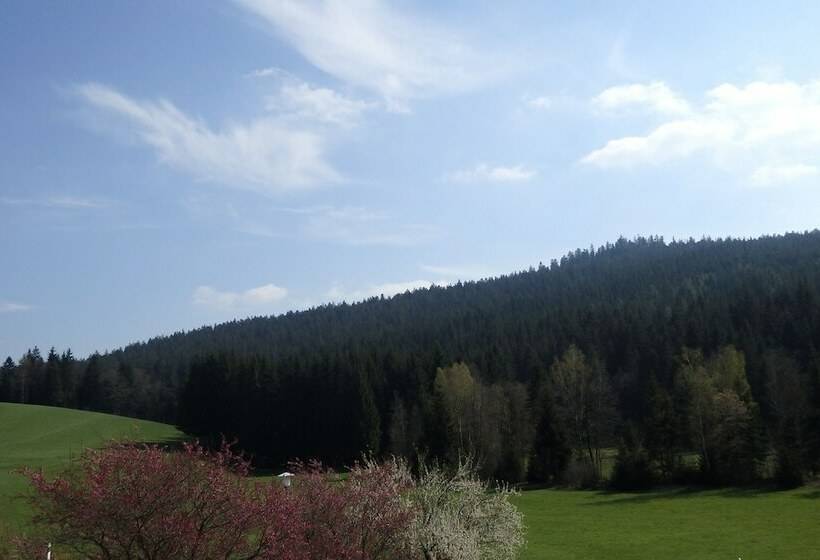 Номер Комфорт, Landhotel Grünwies Bonsai Wellness Garni