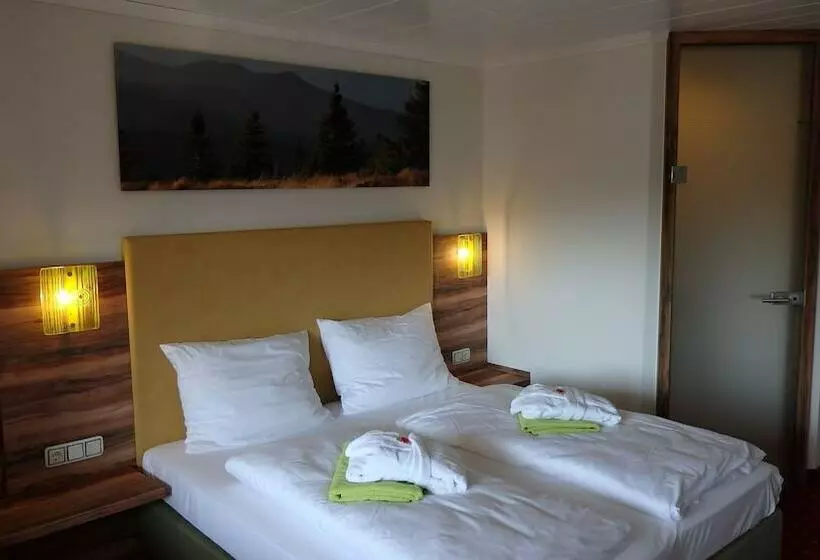 スタンダードルーム, Landhotel Grünwies Bonsai Wellness Garni