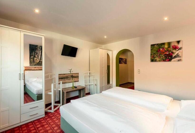 Люкс, Landhotel Grünwies Bonsai Wellness Garni