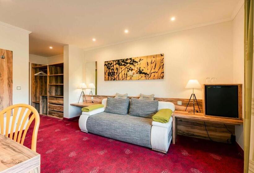 Студия Стандарт, Landhotel Grünwies  Bonsai Wellness Garni