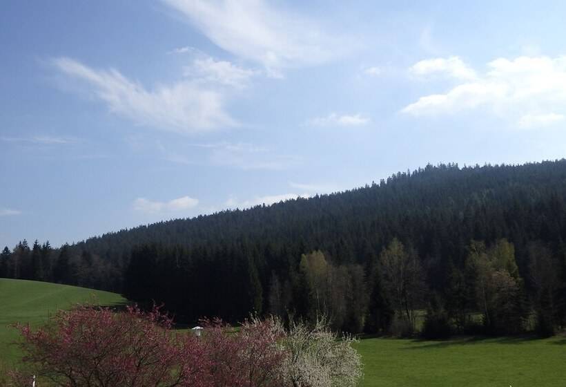 Номер Премиум, Landhotel Grünwies  Bonsai Wellness Garni