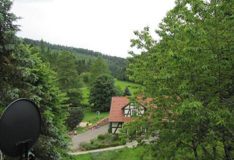 １ベッドルームアパートメント, Hof Guttels Waldgasthof Ferienpension