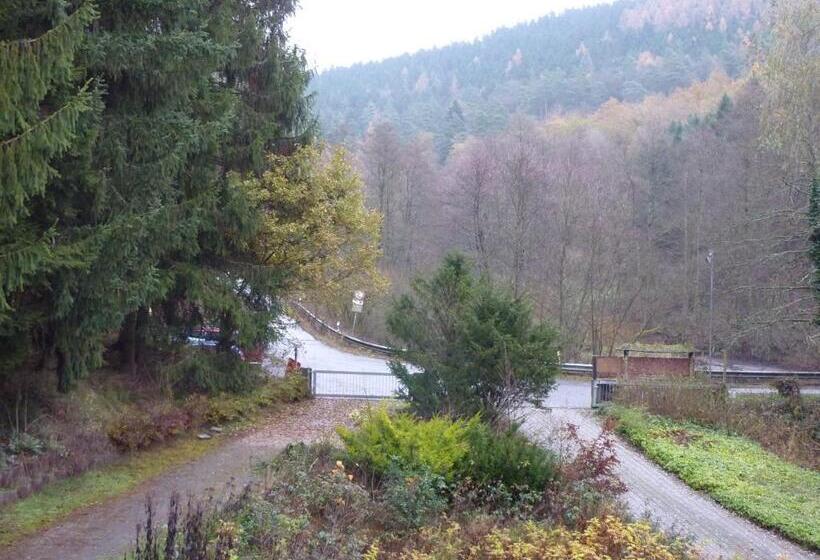 スタンダードルーム, Hof Guttels Waldgasthof Ferienpension