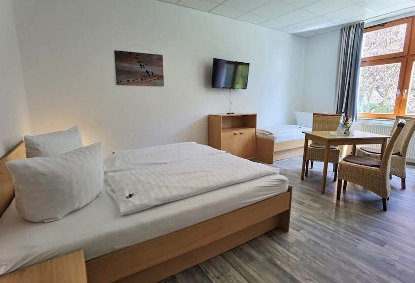 Номер Стандарт Трехместный, Pension Boddenblick