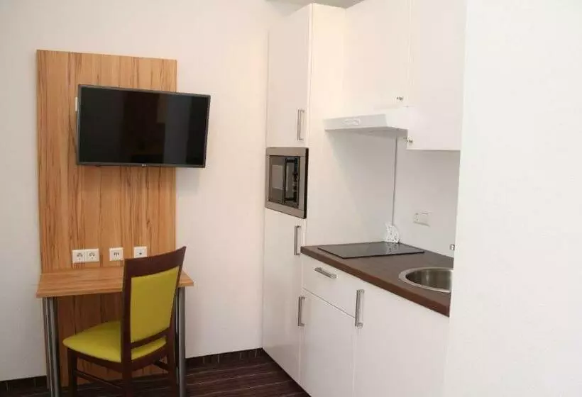 آپارتمان دوبلکس 1 خوابه, Schafer Boardinghouse