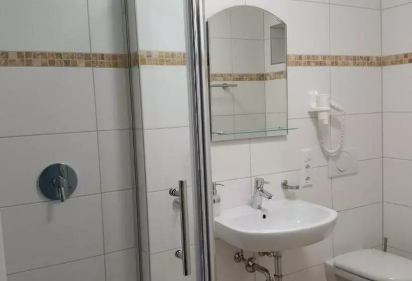 اتاق اکونومی یک تخته, Schafer Boardinghouse