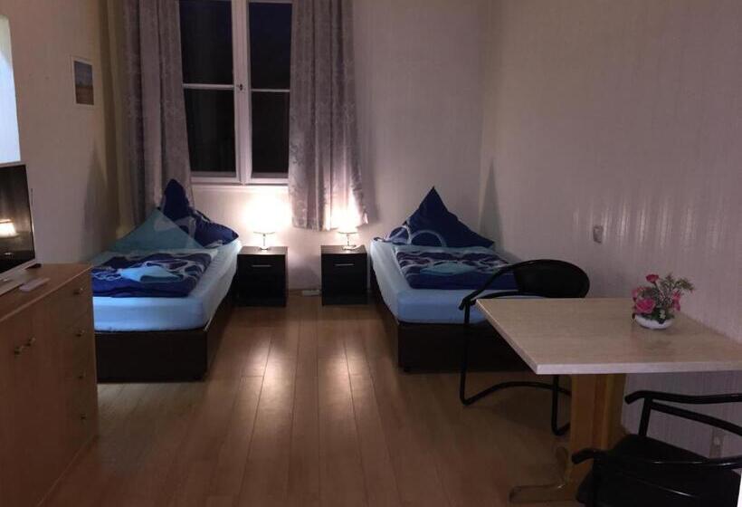 Номер Basic, Zimmerfrei Dresden Mit Bad Miniküche Self Check In 24 7