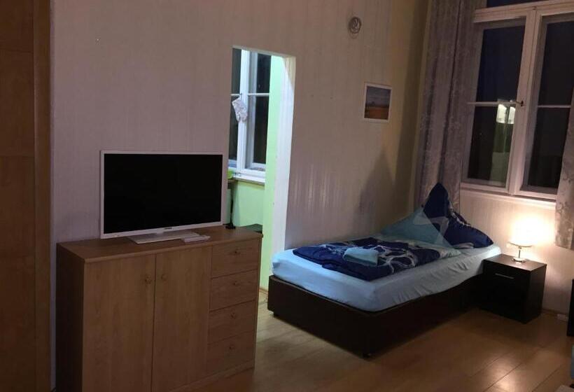 Номер Basic, Zimmerfrei Dresden Mit Bad Miniküche Self Check In 24 7