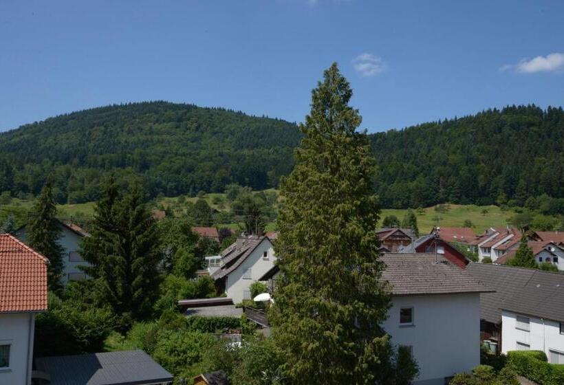 스탠다드 룸, Schwarzwaldhotel Sonne