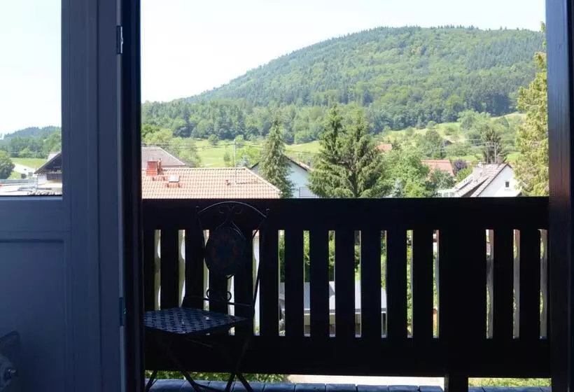 اتاق استاندارد سه نفره, Schwarzwaldhotel Sonne