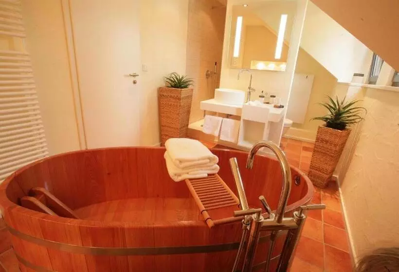 آپارتمان 1 خوابه, Vinotel Augustin