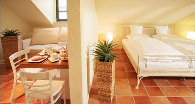 آپارتمان 1 خوابه, Vinotel Augustin